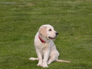 Fotky: tn a ve o nm (foto, obrazky)